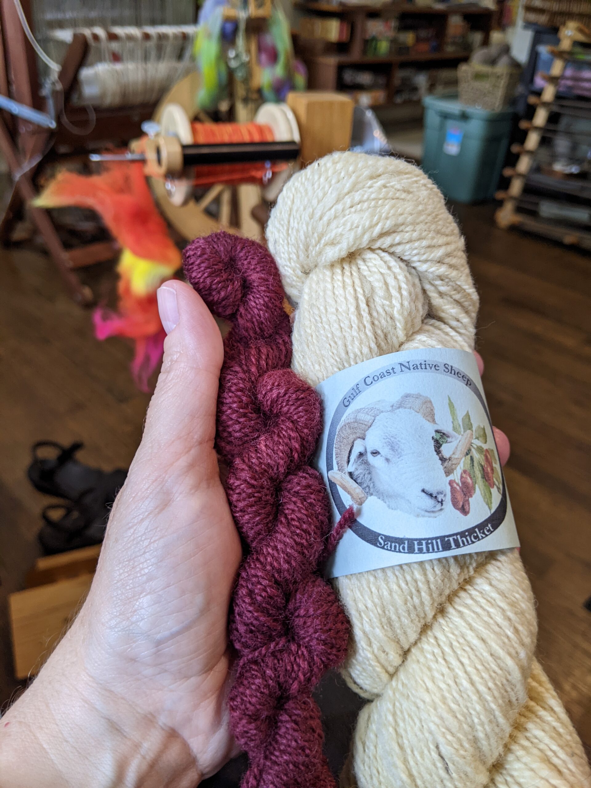 The Story of a Yarn: Gulf Coast Native